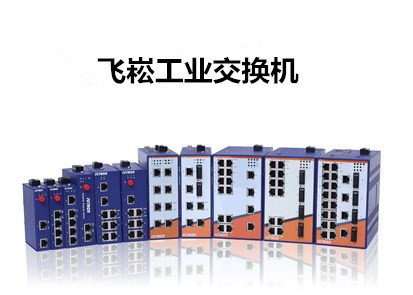 2017國(guó)產(chǎn)工業(yè)交換機(jī)品牌排名出爐 飛崧位列第三
